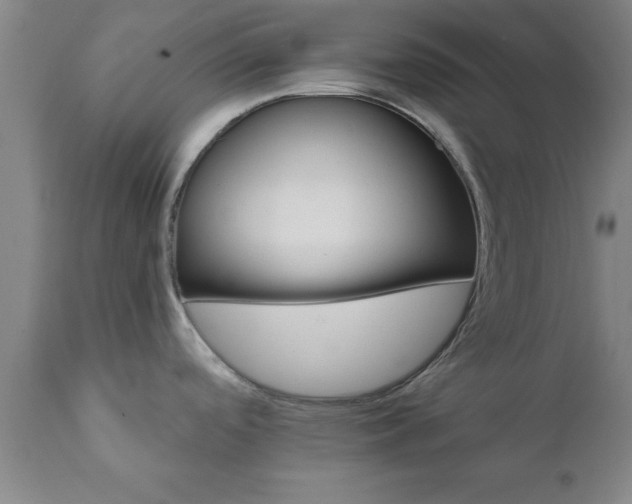 X0000111821488200907301245