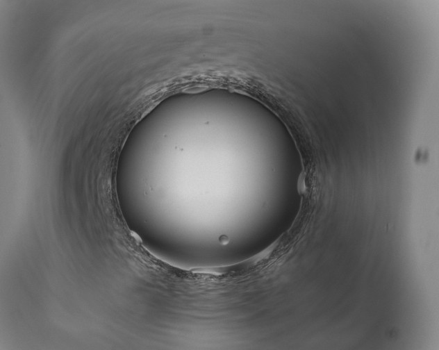 X0000111821489200907301244