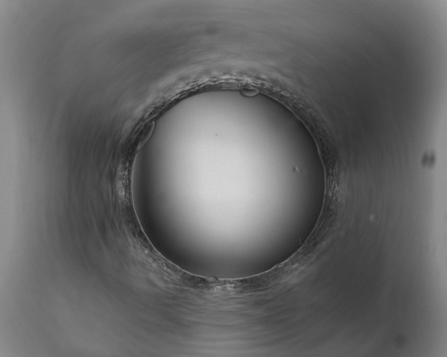 X0000111821490200907301244
