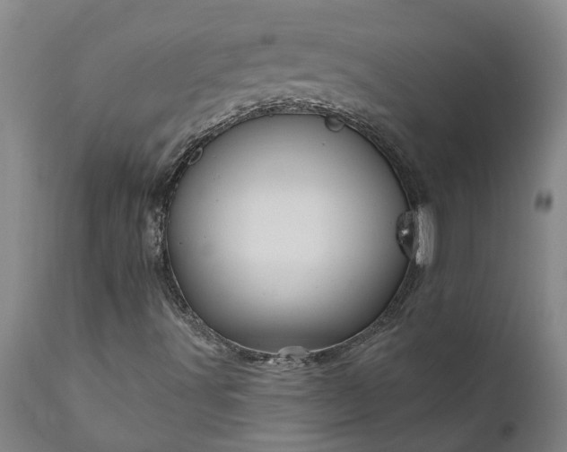 X0000111821491200907301244