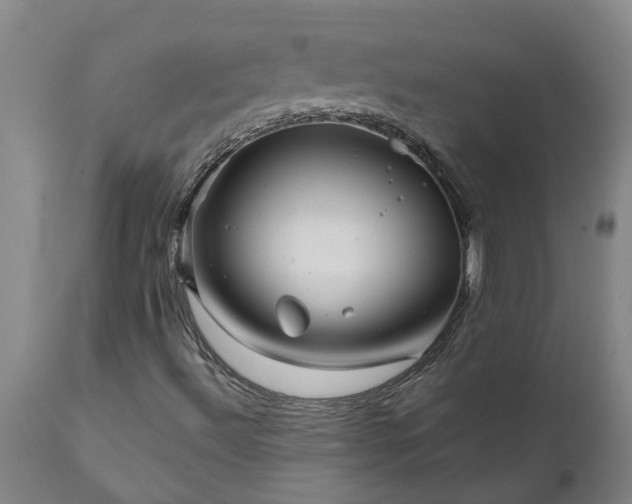 X0000111821492200907301244