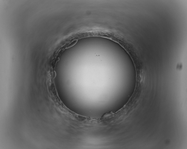 X0000111821493200907301244