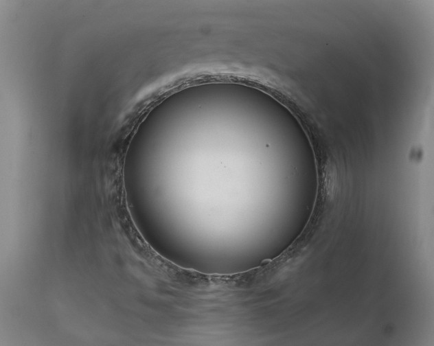 X0000111821494200907301244