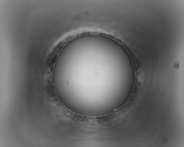 X0000111821495200907301244