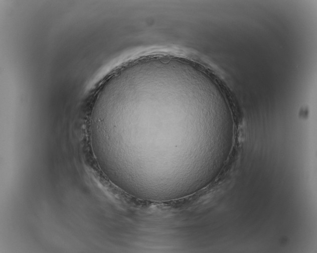 X0000111821496200907301244