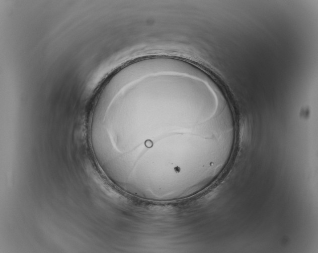 X0000111821498200907301244