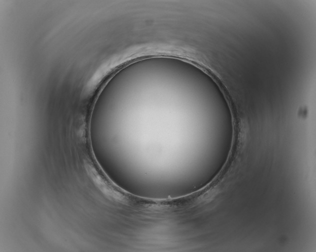 X0000111821499200907301244