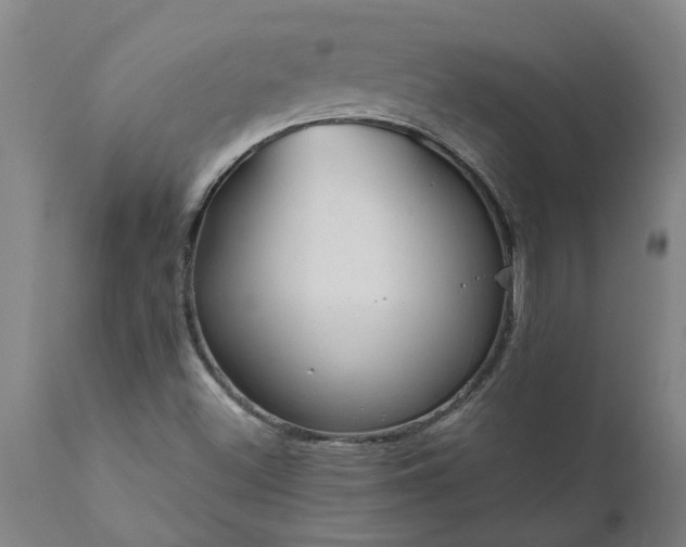 X0000111821500200907301244