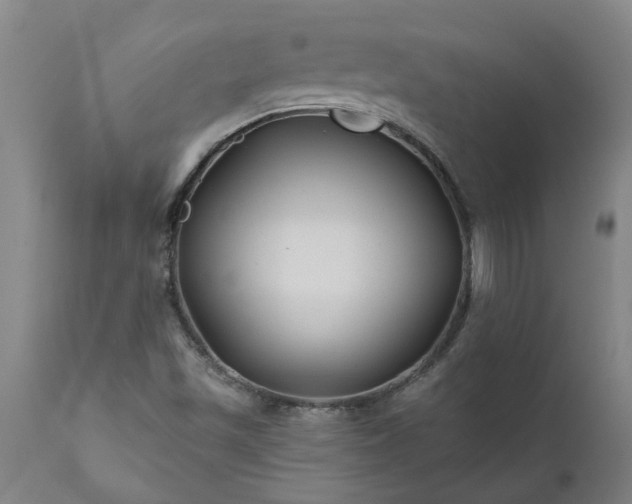 X0000111821501200907301244