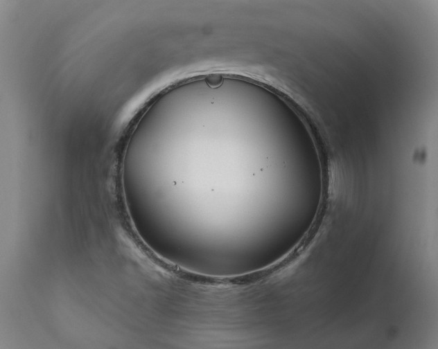 X0000111821502200907301244