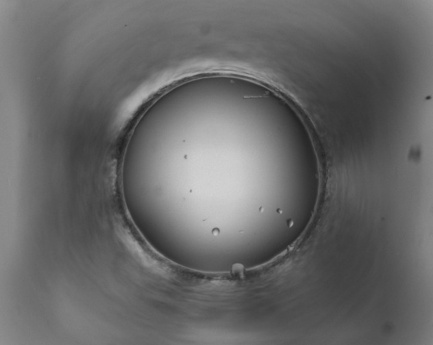 X0000111821503200907301244