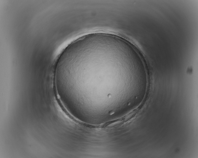 X0000111821504200907301244