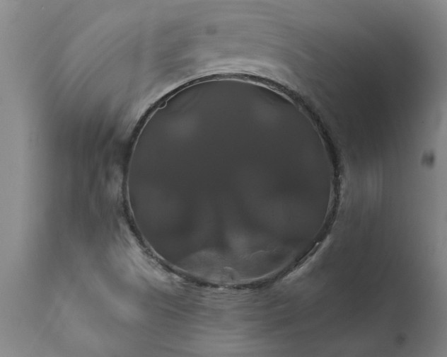 X0000111821505200907301244