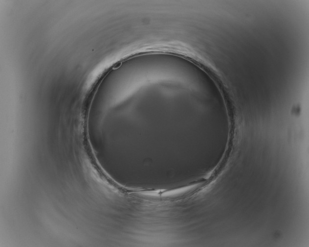 X0000111821506200907301244