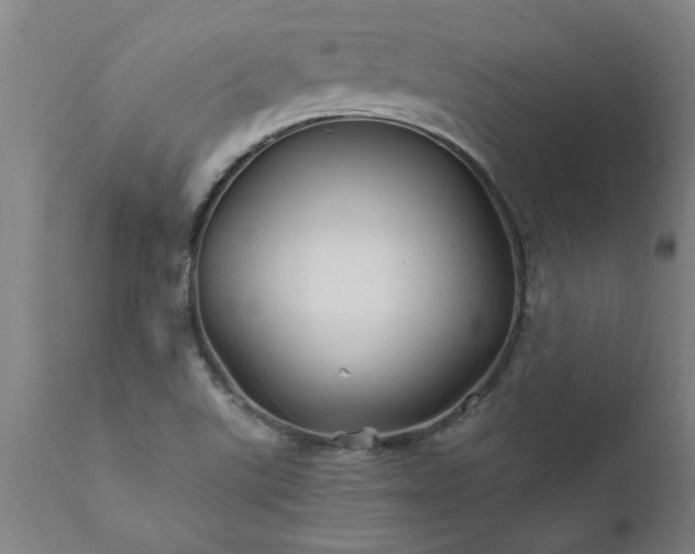X0000111821507200907301244