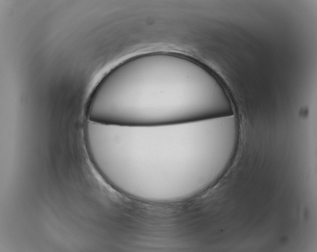 X0000111821508200907301244