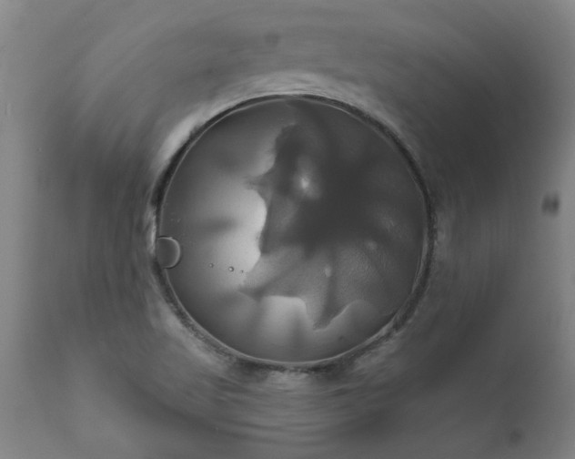 X0000111821509200907301244