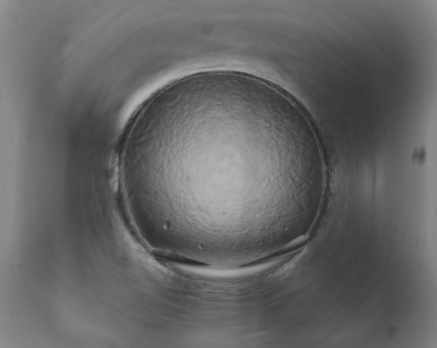 X0000111821510200907301244