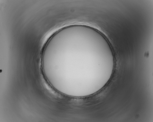 X0000111821511200907301244