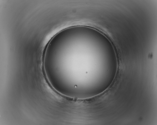 X0000111821512200907301244