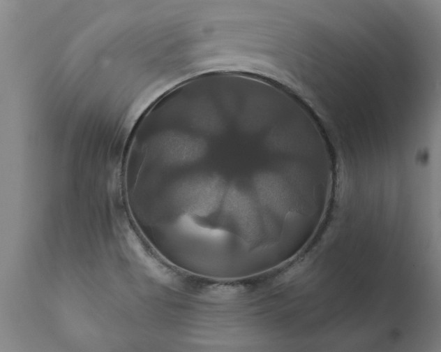 X0000111821513200907301244