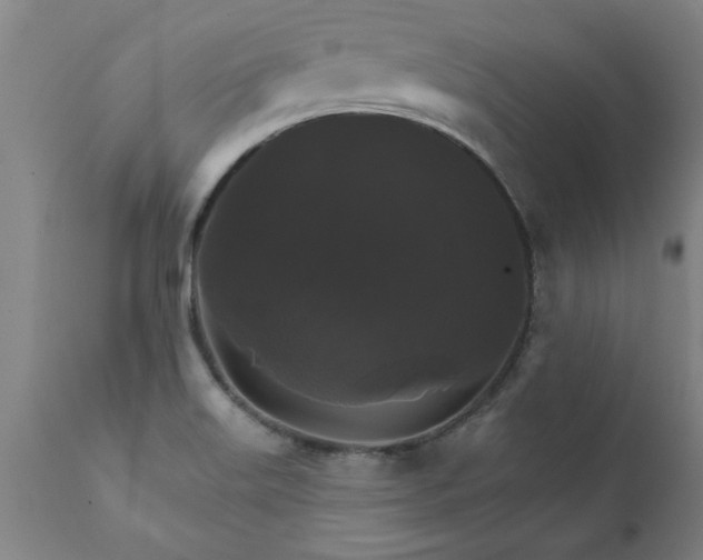 X0000111821515200907301244