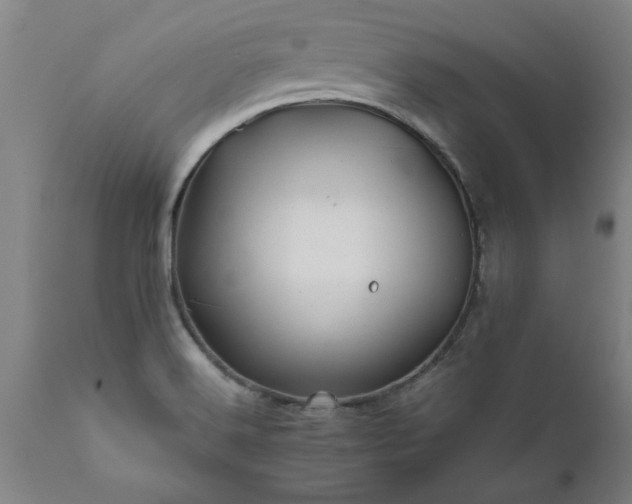 X0000111821516200907301244