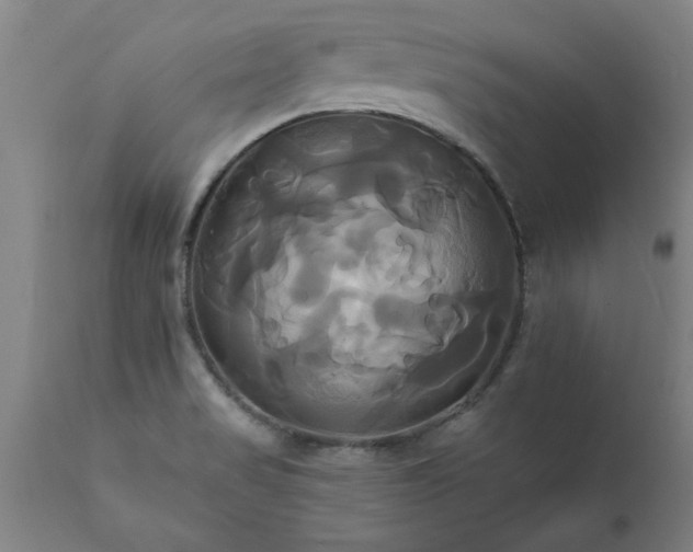 X0000111821517200907301244