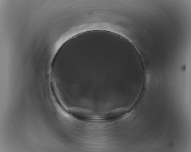 X0000111821519200907301244