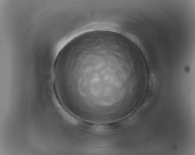 X0000111821520200907301244