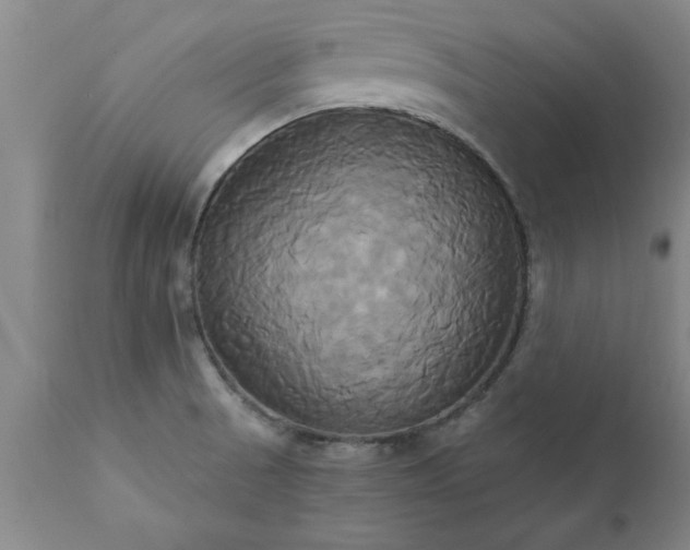X0000111821521200907301244