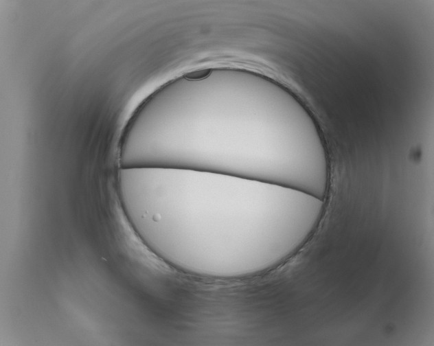 X0000111821522200907301244