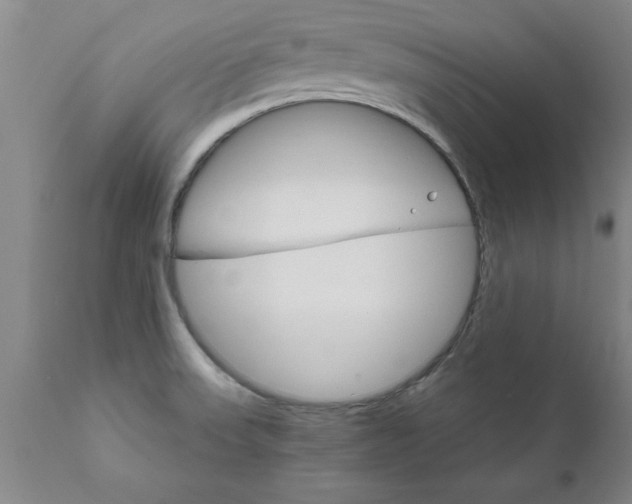X0000111821523200907301244