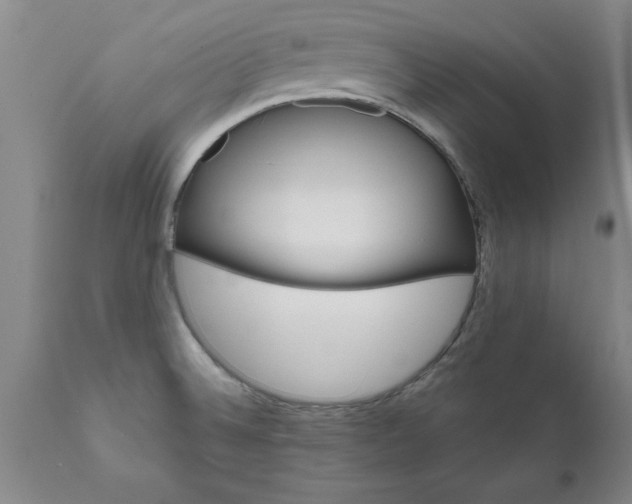 X0000111821524200907301244