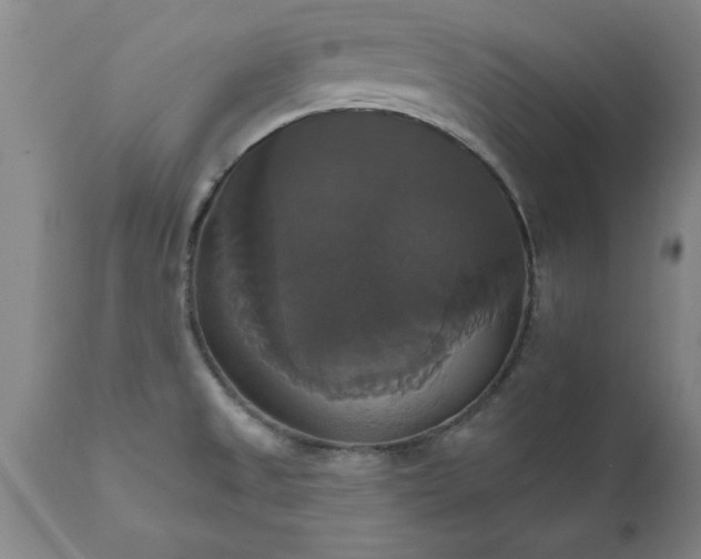 X0000111821525200907301244