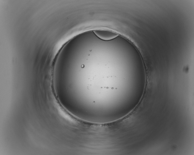 X0000111821526200907301244