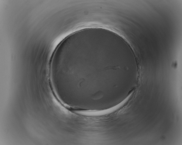 X0000111821527200907301244