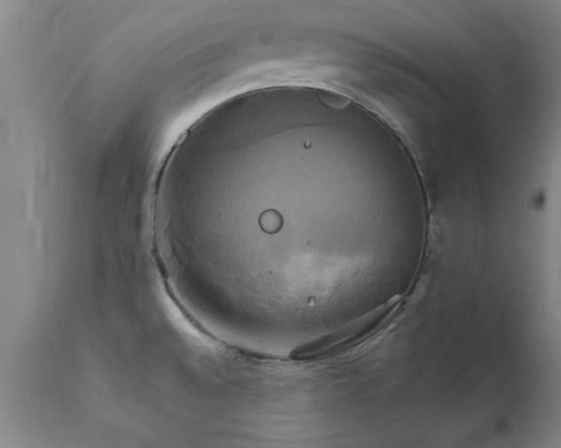 X0000111821528200907301245
