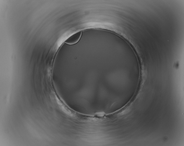 X0000111821529200907301245