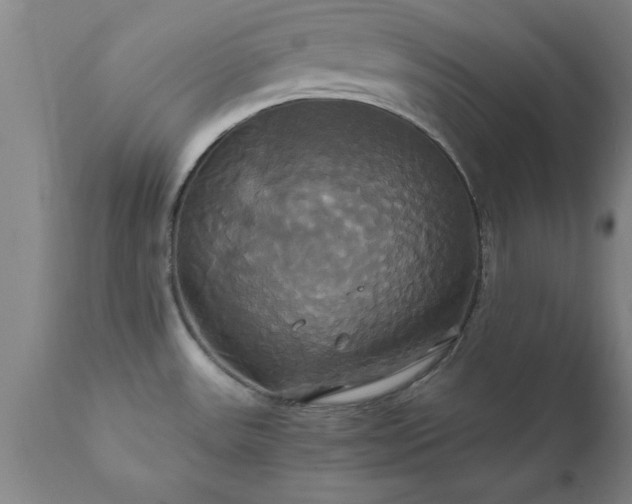 X0000111821531200907301245