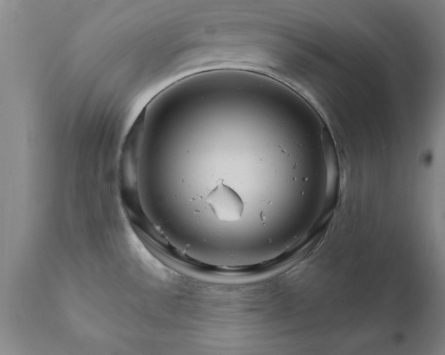 X0000111821532200907301245