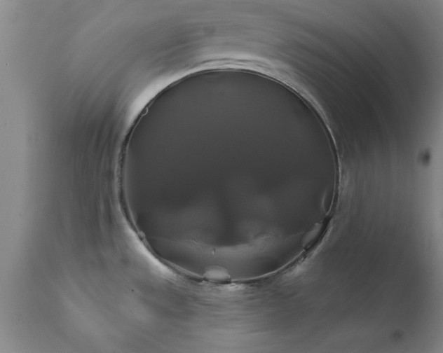 X0000111821533200907301245