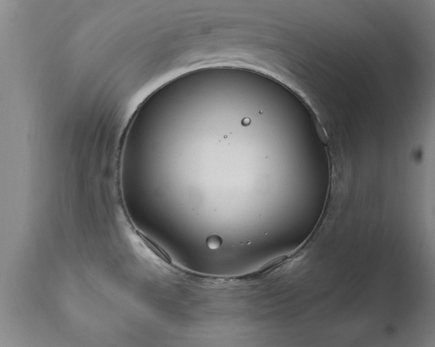 X0000111821534200907301245