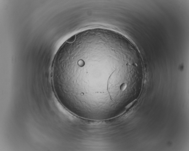 X0000111821535200907301245