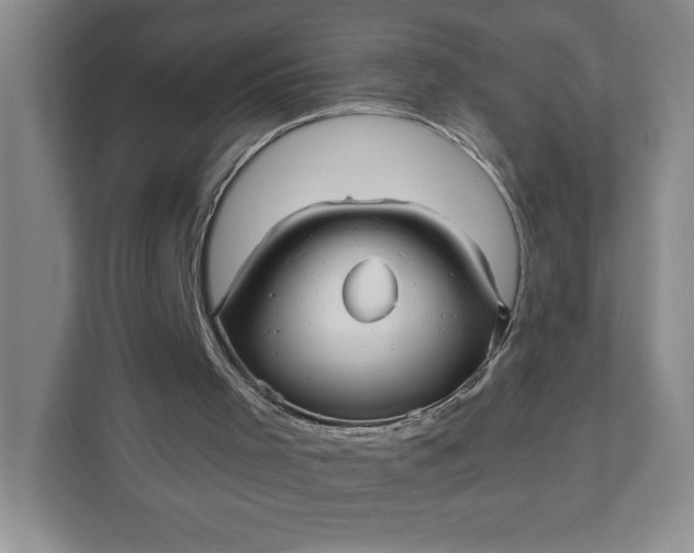 X0000111820001200908061145