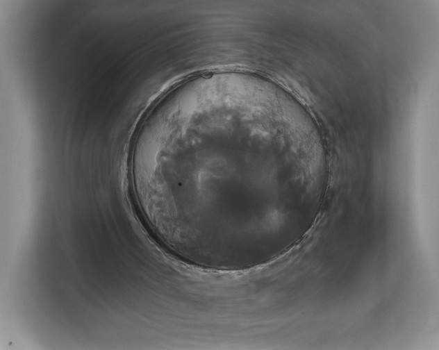 X0000111820002200908061145