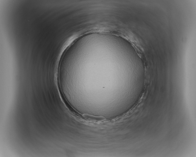 X0000111820003200908061145