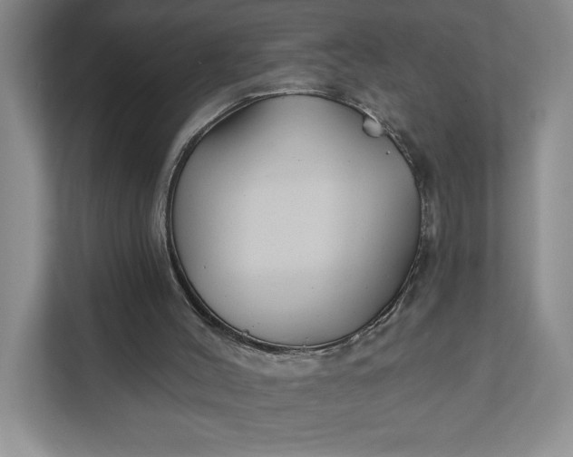 X0000111820004200908061145