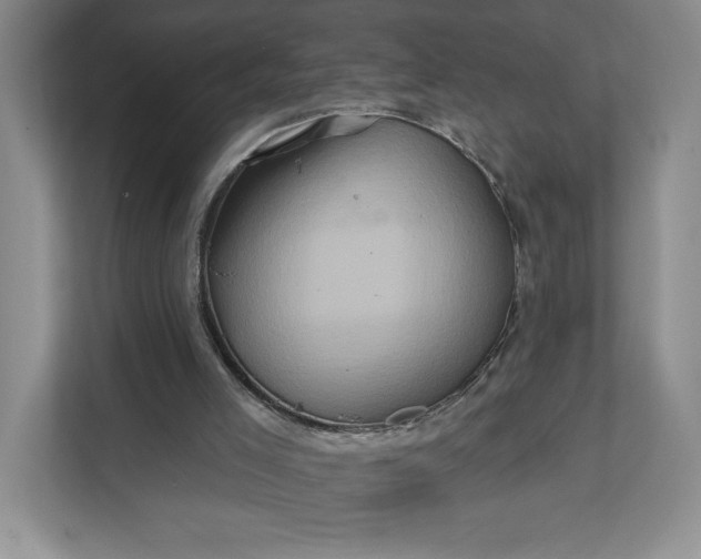 X0000111820005200908061145