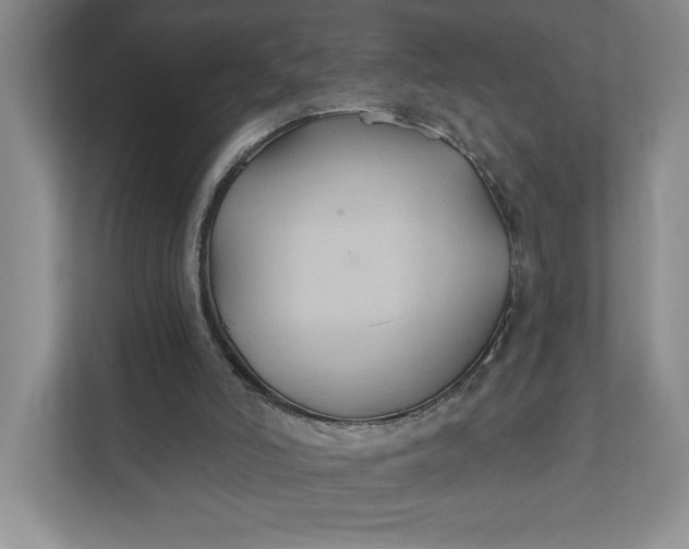 X0000111820006200908061145